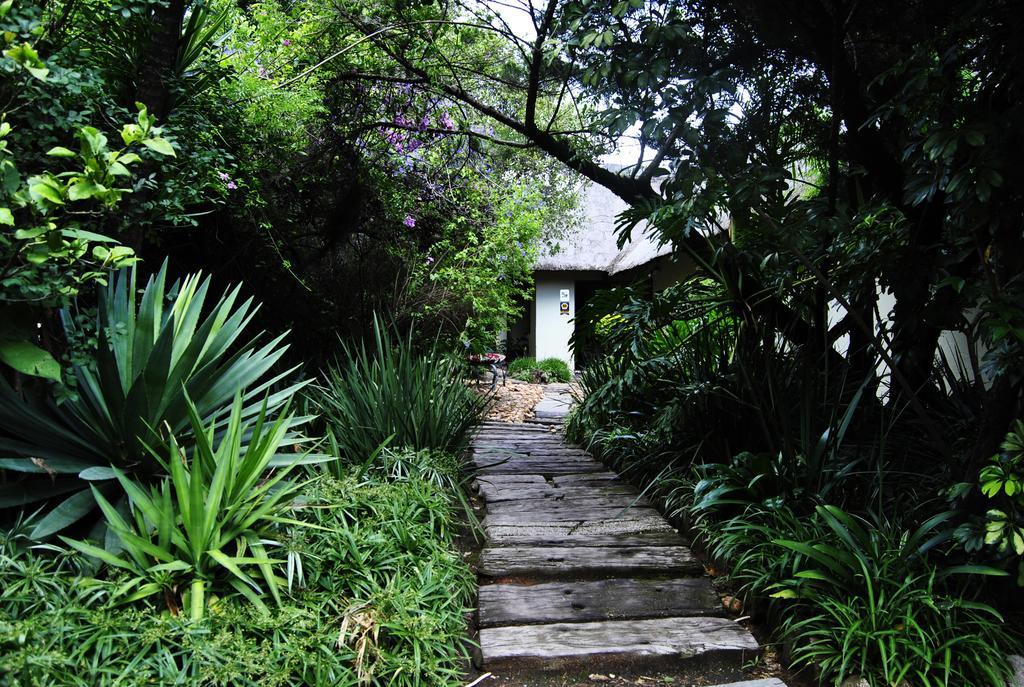 Birch Tree Cottage โจฮันเนสเบิร์ก ภายนอก รูปภาพ