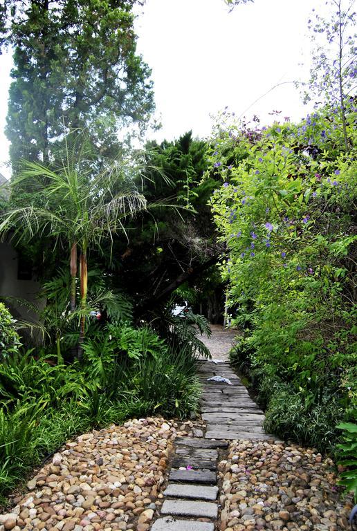 Birch Tree Cottage โจฮันเนสเบิร์ก ภายนอก รูปภาพ